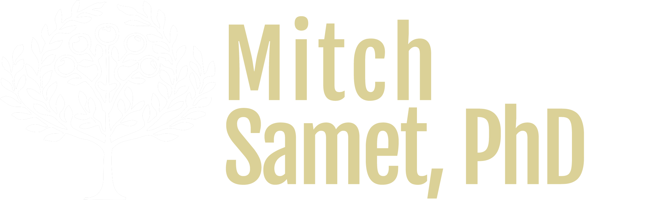 Mitch Samet